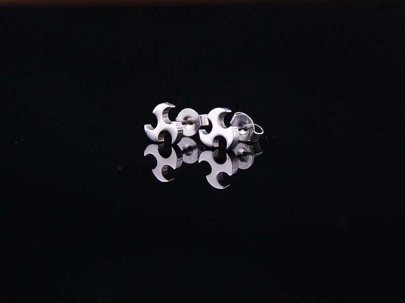 Free shipping&wholesale Christmas gift n051 Stainless Steel Fashion Style Unisex Earrings Stud(China (Mainland))