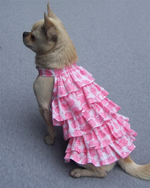 Pet Dress