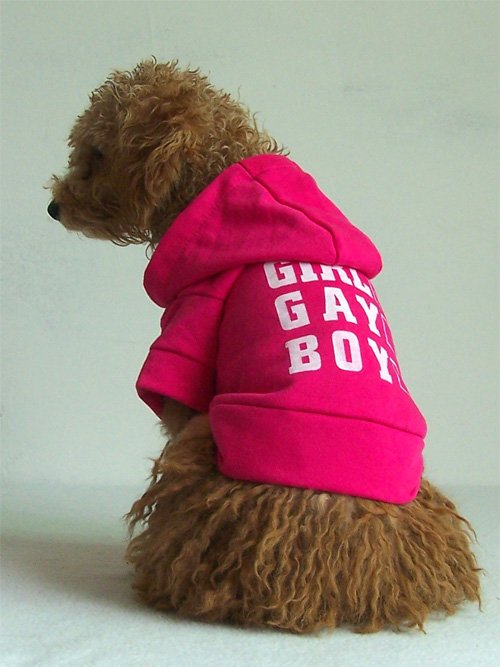 Cute Puppy Clothes