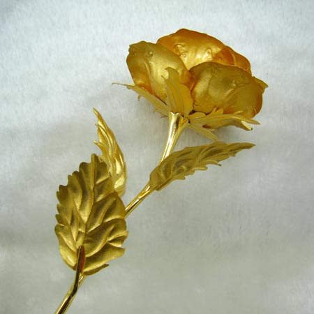 Gold Coated Roses