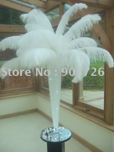 100pcs lot 1416 3540cm White Ostrich Feather Wing