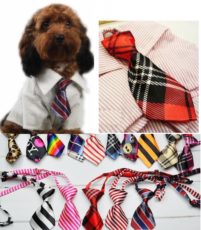 dogs tie