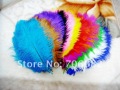 Free shipping dyeing 12 colors/color you pick/ ostrich feathers 8-10inches