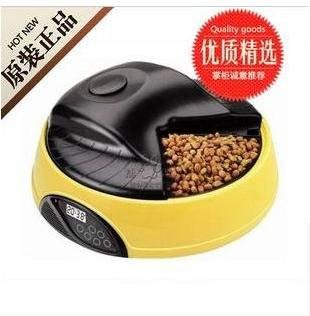 Electronic Dog Feeder