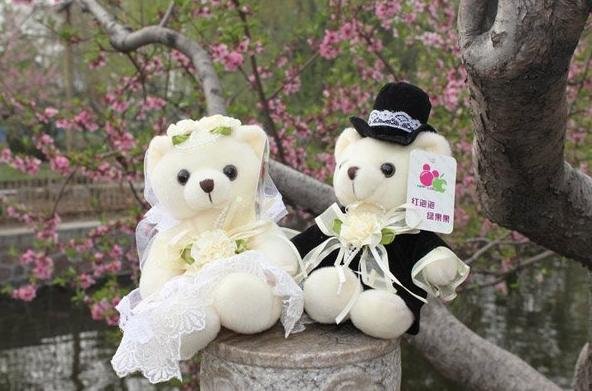 Married Teddy Bears