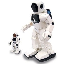 Remote control rc robot toy humanoid infrared robot+sound active+36 action humanoid android infrared robot toy action figure(China (Mainland))