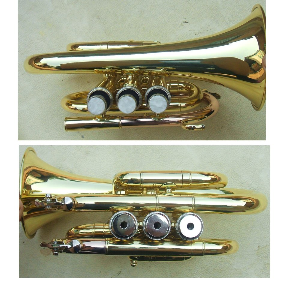 Trumpet Piston