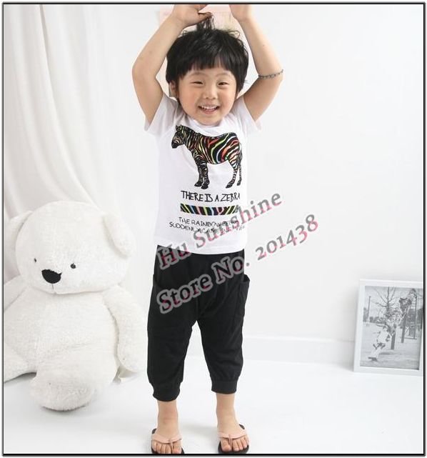 2012 Summer Boys clothing sets babys 2pcs whole suits boy zebra t shirt 