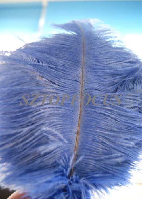 100pcs lot 810 inches Dyed Ostrich Feather Plume for wedding centerpiece 