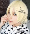 Bleach Urahara Kisuke,536,Blonde short synthetic wig,classic cos wig,Free shipping