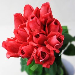 A Real Rose