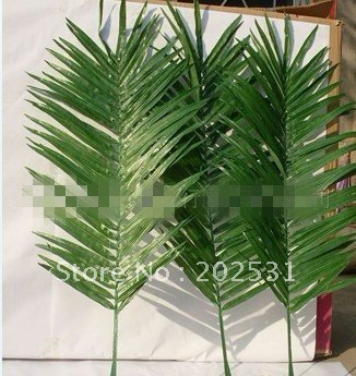 Coconut Palm Leaves