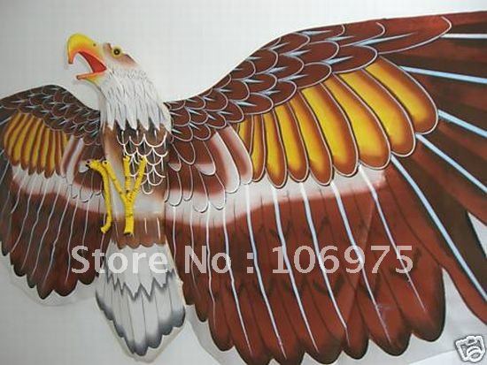 Eagles Kite Price,Eagles Kite Price Trends-Buy Low Price Eagles ...