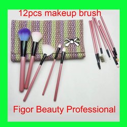 12 PCS Professional Makeup Brush Cosmetic set+ personal delux Pouch Bag Free shipping(China (Mainland))