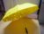 New arrival, LED umbrella with torch handle, detail pictures available