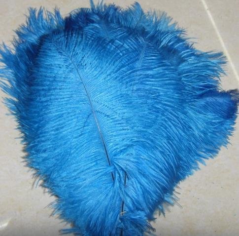 Wedding Centerpieces  Sale on Color Ostrich Feathers Ostrich Feather Centerpieces Wedding Decoration Wedding Centerpieces  Sale on Color Ostrich Feathers Ostrich Feather Centerpieces Wedding Decoration
