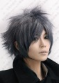 Final Fantasy.Versus.600. Shaggy layered grey short anime cosplay costume wig,free shipping
