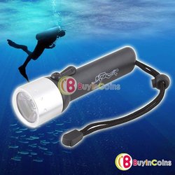 1Pcs/lot New Professional Underwater Diving Flashlight Torch LED Light Lamp Waterproof #1 [21401|99|01](China (Mainland))