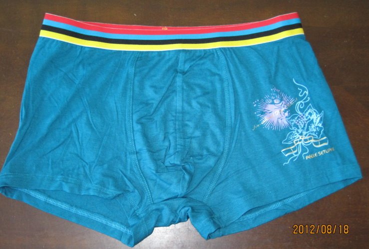 rainbow boxer briefs