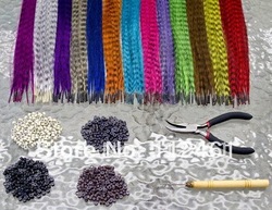 100pcs 16" Long Grizzly Feather Hair Extensions+ 200 Beads+ 2 Hook+1 plier kit On Sale loop hair extension(China (Mainland))