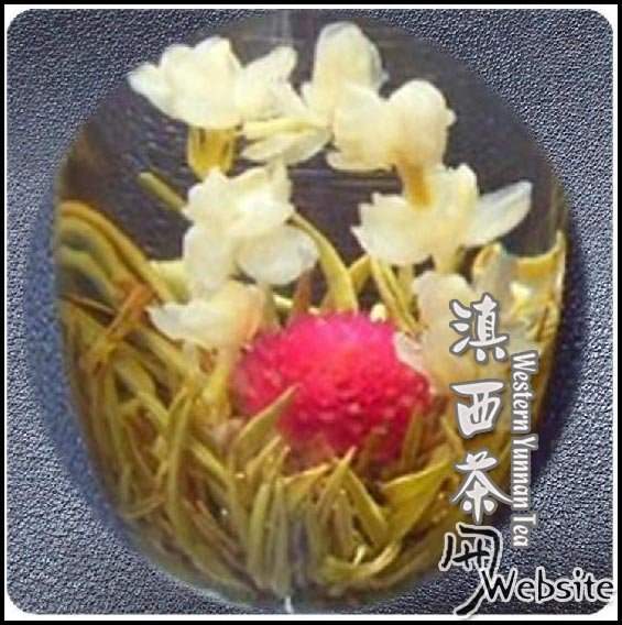 Blooming flowering green tea*Seven stars with moon*120pcsX8g(China (Mainland))
