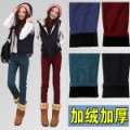Free shipping- 2012 winter new arrival candy color jeans trousers female thickening plus velvet slim boot cut jeans