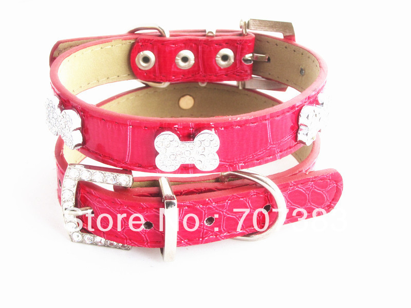 Cute Puppy Collars