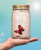 Bling Recommend Free Shipping Top.1 Seller Recesky Butterfly Jar Butterfly Tank Valentine's Day Gift Cans 001