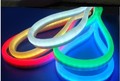Led strip lights with flexible rainbow tube neon lamp lighting lamp signatureless(China (Mainland))