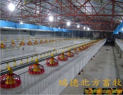 Automatic auger screw conveying poultry feeding system(China (Mainland))
