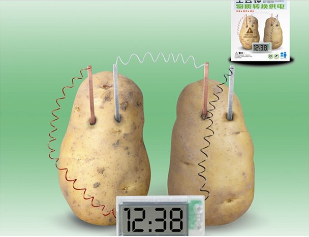  - Potato-Clock-Green-Science-Project-Experiment-Kit-kids-Lab-HomeSchool-Curriculum-DIY-Home-School-Toy-Mr