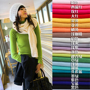 http://i00.i.aliimg.com/wsphoto/v0/746002498/2013-free-shipping-all-match-short-design-slim-long-sleeve-turtleneck-basic-women-sweater-basic-shirt.jpg