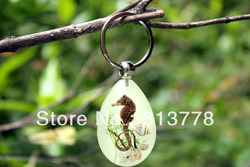 Hot Selling Oval Sea Horse Amber Keyrings Luminous Handicrafted Promotion Keychain 50pcs Mixed Lot Free Shipping(China (Mainland))