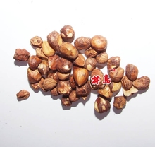 Changbai mountain hazelnut kernel flavor cooked 59 made in china