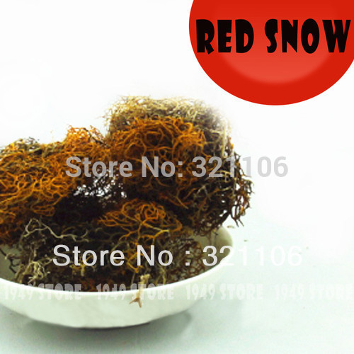 Premium Loose Dried Red Snow Tea Precious Tibet Specialty Healthy Natural 50g