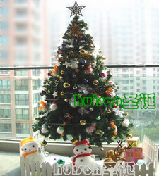 3 meters christmas tree bundle huison type encryption christmas tree decoration christmas snowman little deer fence snow cotton(China (Mainland))