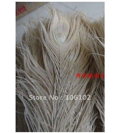 100pcs/lot beautiful wholesale 100% natural white peacock Feather peacock plume for wedding accessories FREE SHIPPING(Hong Kong)