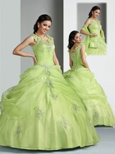 Customized Sliver Applique And Beading V-neck Sleeves Ball Gown Overlay Organza Limi Quinceanera Dresses