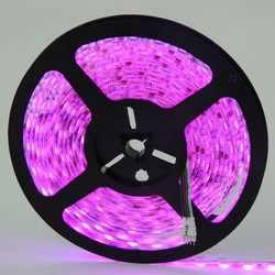 LED strip LED flexible strip- pink color(China (Mainland))