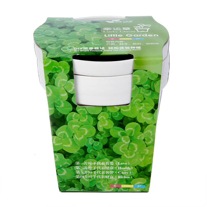 Mini plant small bonsai rose diy green grass plants(China (Mainland))