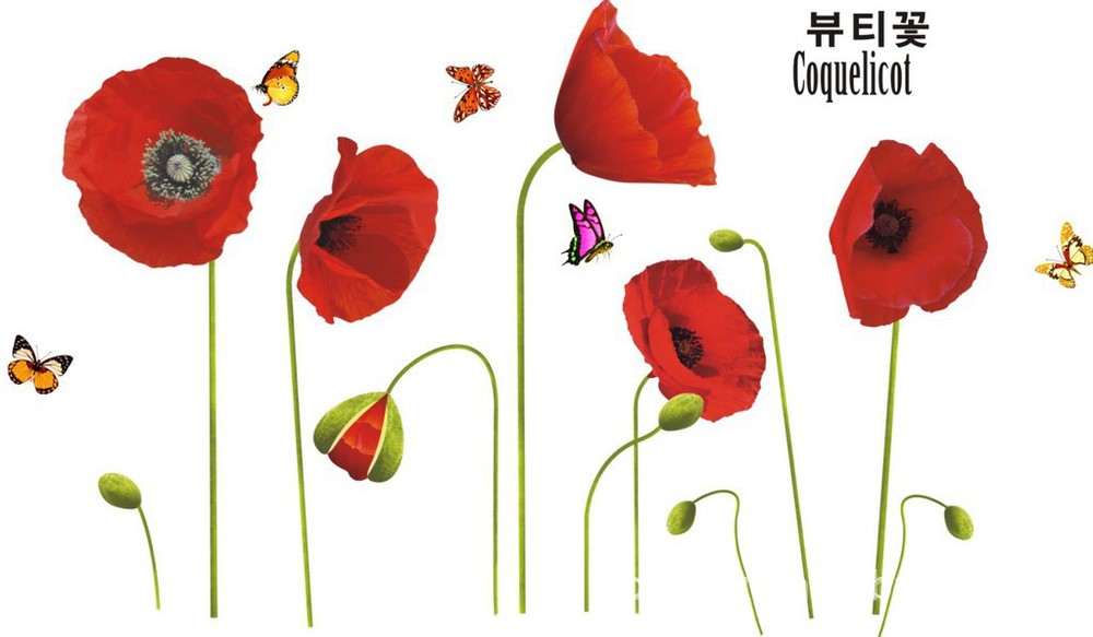 free shipping PVC wall sticker Red poppy for bedroom 50*70 cm removable wall decal paper(China (Mainland))