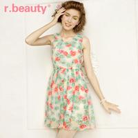 Free Shipping 2013 Flower Vintage Mini Dress Koran Style Top Dresses for Women Sarafan Chiffon Colourful Casual Maxi Skirt