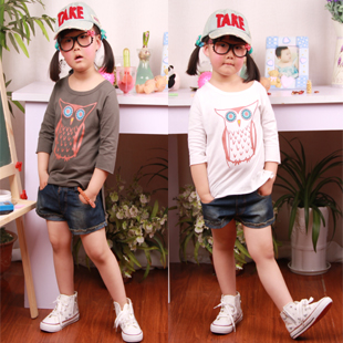 Children's clothing female child 2013 spring and autumn new arrival placketing owl pattern half sleeve child t-shirt basic shirt(China (Mainland))