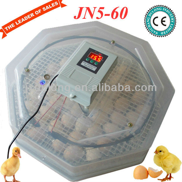 Chicken Egg Incubators for Sale