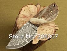 Thumb Damascus small straight knife pocket knife folding knife Jungle Survival