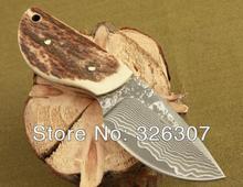 Thumb Damascus small straight knife pocket knife folding knife Jungle Survival