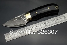 Damascus Little Dark thumb mall straight knife pocket knife folding knife Jungle Survival