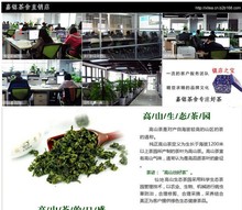 2015 New 100g Chinese Tieguanyin Oolong Tea Healthy Weight Loss Beauty Skin Green Food Tie Guan