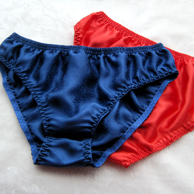 Plus Size Silk Panties 111