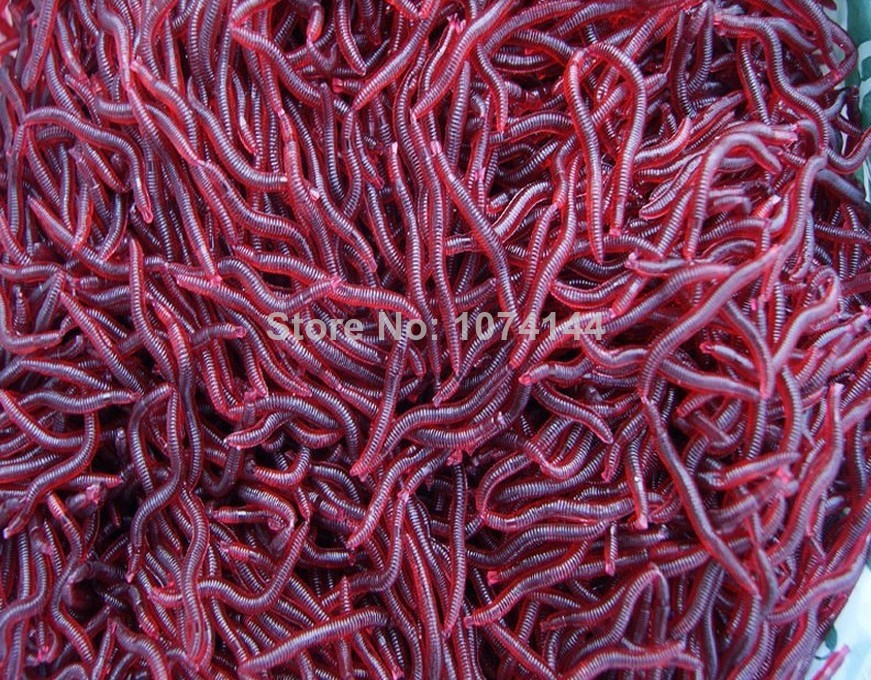 200pcs/muito smelly/flavored soft plástico pesca isca isca bionic worm red